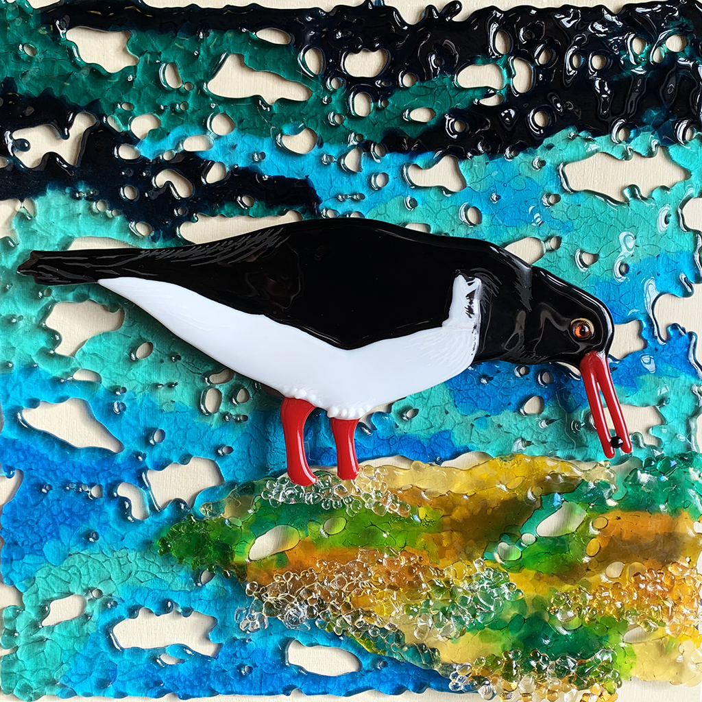 Oyster Catcher fused glass bird