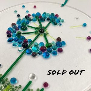 Flower Gardens - Fri 23rd Jan 10:30am